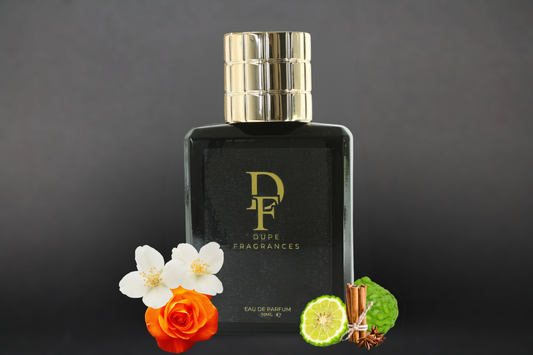 Bold Night (inspired by Joop! Homme)