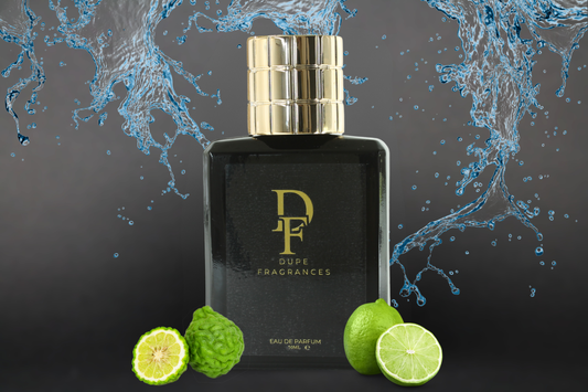 Tropical Oasis (Inspired by Virgin Island Water)