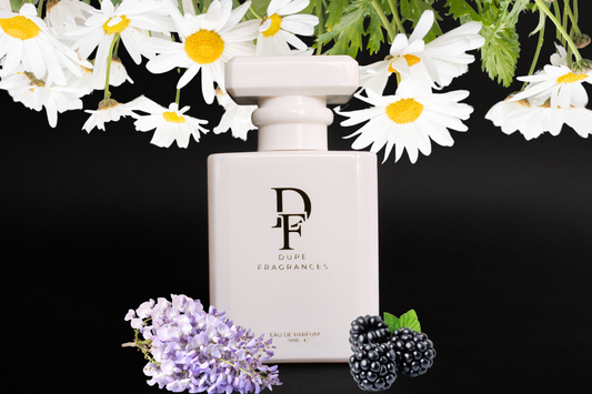 Daydream Fields (inspired by Daisy Dream by Marc Jacobs)
