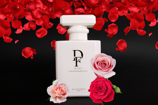 50ml Dupe Fragrances perfume Velvet Thorn inspired by Rose prick by Tom Ford.  White bottle with gold label on dark background with red rose petals
