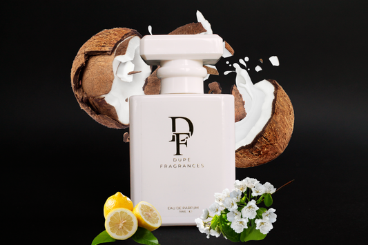 50ml dupe fragrances perfume Island Muse inspired by vanilla coco 21 by Kayali. white bottle, gold label on background of coconuts.